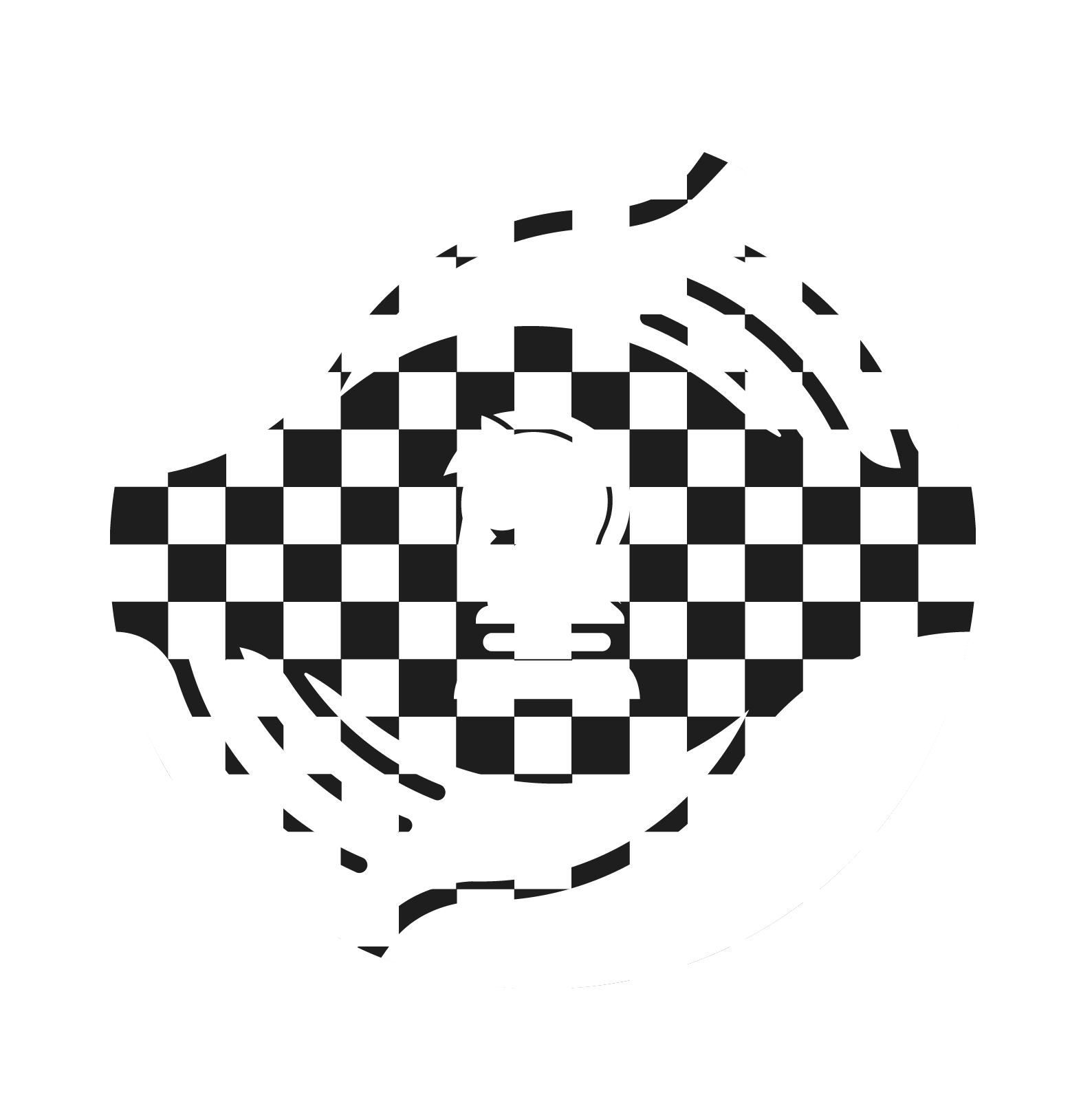 Lietuvos šachmatų paramos fondas